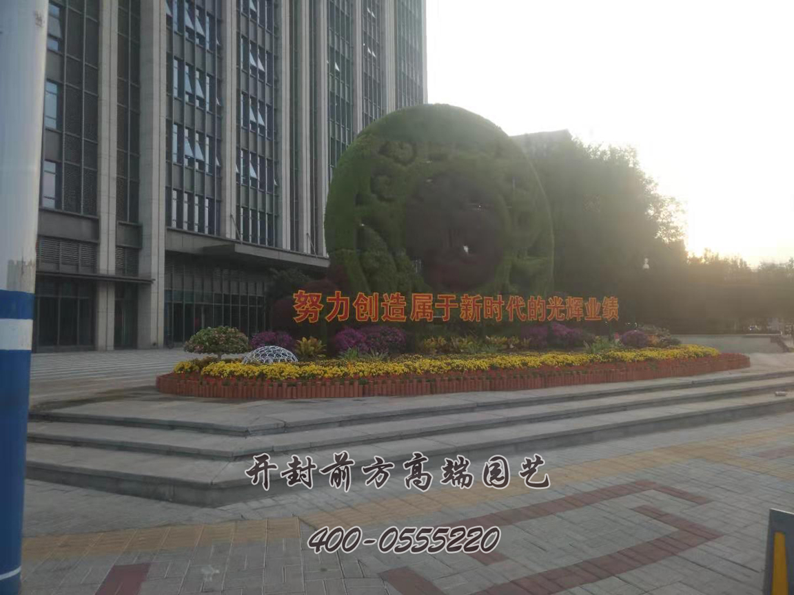 北京大興區菊花造型修飾
