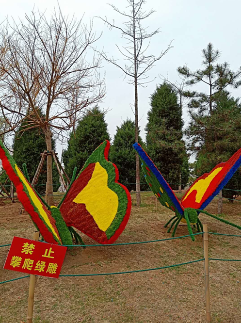 前方園藝-那一處風景